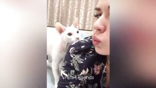 very funny animals 2