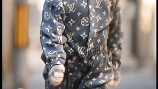 stylish cat 2