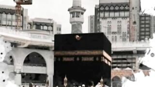 Best  video 2024