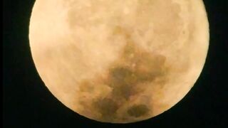 Strawberry moon