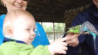 Cute Bird Falling In Love with Baby