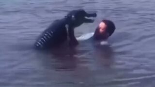 Man They are crazy to dance with Crocodile????????????!