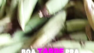 RITMO FESTIVO DO SÃO JOÃO