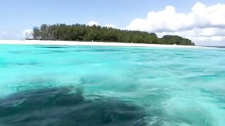 The beauty of Zanzibar Island.