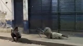 Hindi funny video 6