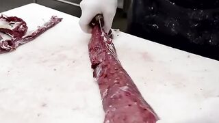 Entertainment video 46