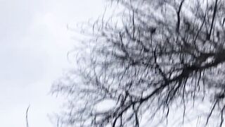 Anomaly double ice