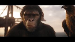 The kingdom of the planet for Apes