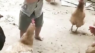 Funny... hen.. boy
