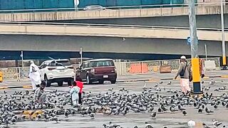 المدینہ المنورہ مسجد بلال ماشاءاللہ بہت اچھا