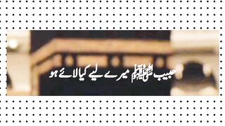 Islamicqoutes