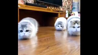 This innocent crawl precedes the attack