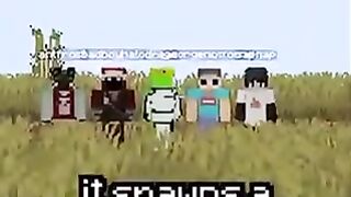 Minecraft gaming