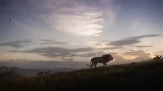 The kin lion last part enjoyed full in hindi