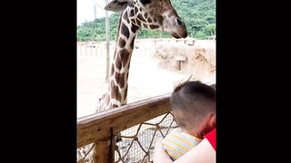 Funniest Fails Of The Year Compilation