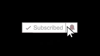 Funny dogs compilation|Funny dogs videos