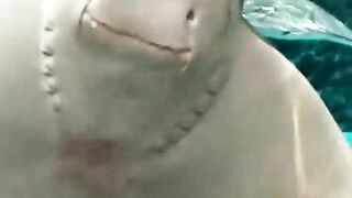 Beautiful aquarium 4k  fish ????