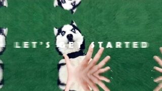 Funny dogs moments ????????