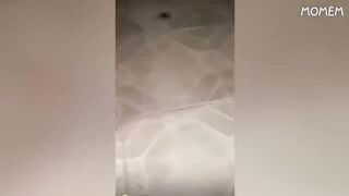 You laugh 6,9 times. you restart / Funny
