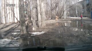 Car Crash Compilation ????☠️???? PART 5
