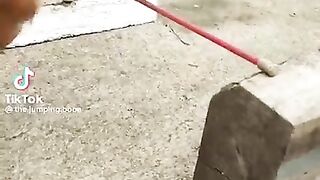 tiktoks that actually made me laugh PART 3