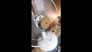 UNUSUAL MEMES COMPILATION V2