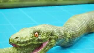 The Snake That Bites Its Own Tail: Why Do Some Snakes Eat Themselves?
