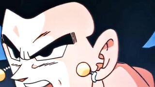 Vegetto