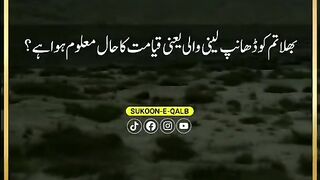 القرآن 55