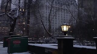 Central Park, New York City  It finally snowed!