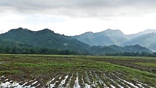 Suasana desaku