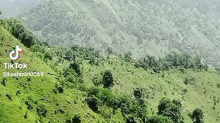 Touqeer