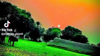 Beautiful video 67