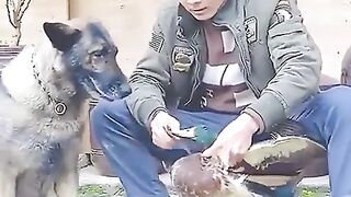 تیری مہربانیاں