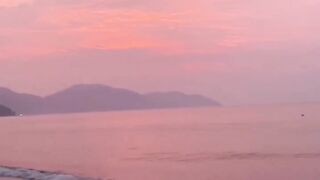 See view 2
