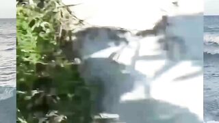 Funny Moment Part 40