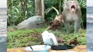 Funny Moment Part 42