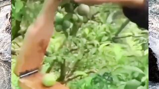 Funny Moment Part 44