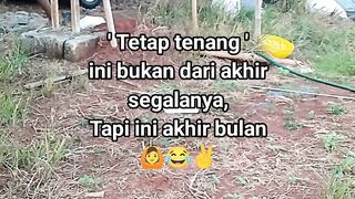 ayam broiler || kata kata lucu 518