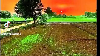 Malik video 2