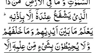 Aytual Kursi