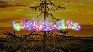Quran Surah 50