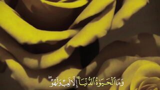 video 715