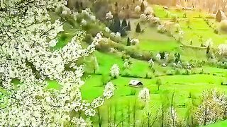 ????کلامِ ربی????