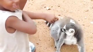 funny animal 25