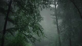 #the_mirror_of_our_souls #fingerprintofgod #moodygrams #the_gallery_of_magic #quest_4_magic #rsa_fog
