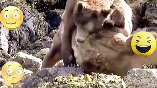 Best Fails FUNNY ???? HUMOR ???? #emoji #sad #funny #motivation #funnyvideos #funny #comedyvideos #love #happy #trend #tiktok #trending #fails # 22