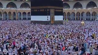 Beautiful  Video