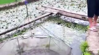 Fisherman catch small fish