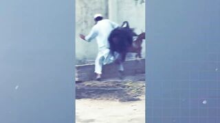 30 Funny Moments Of Anari Qasayi 2024
